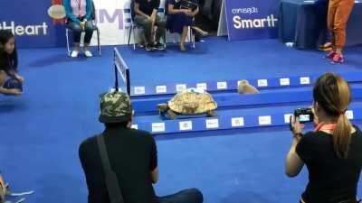 Our childhood was not a lie.