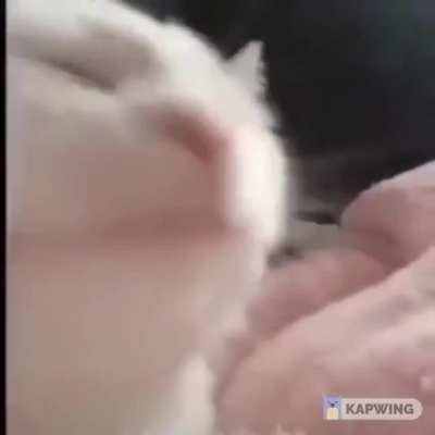 Don't care, shut up...I'm listening to CLANG.mpeg