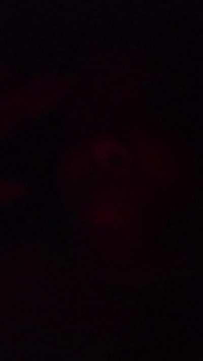 This 1 Came Out Full Throttle EnJoy The 💨💨💨💨💨💨💨💨💨Video 