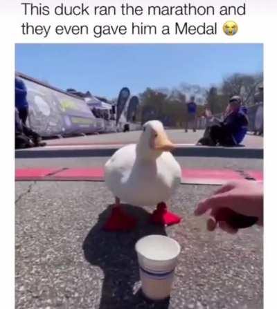 Chad Duck