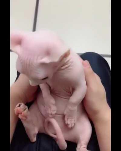 He is so relaxed Love His Eyes