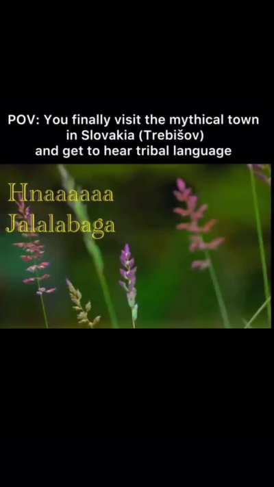 Can anyone translate this?