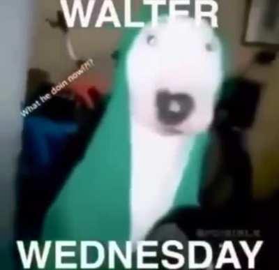 Almost forgot the Walter Wednesday video