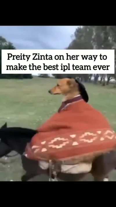 Absolute cinema incoming...