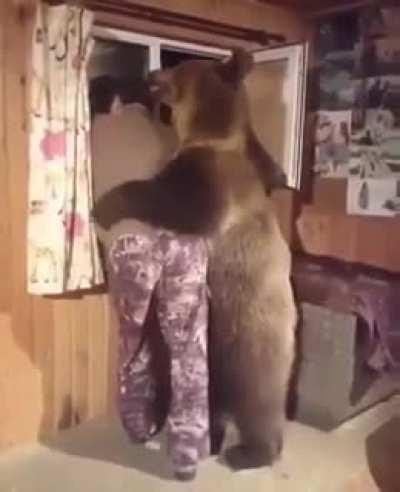 I can't sleep bro what you doing