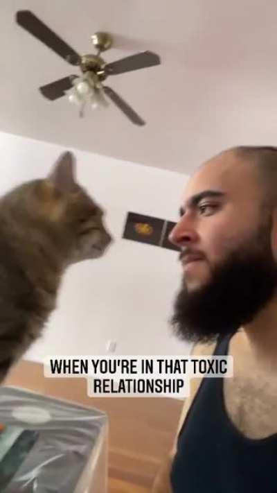 Cat: I love you but I hate you