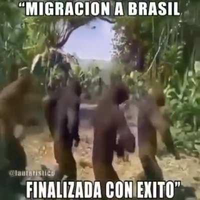 Brasil🐒🐒🐒🐒