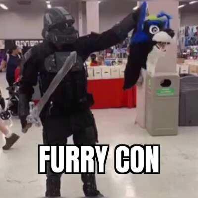 Furry con