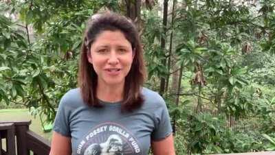 A message to WSB from the Director of the Dian Fossey Gorilla Fund!