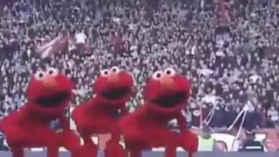 Товарищ elmo