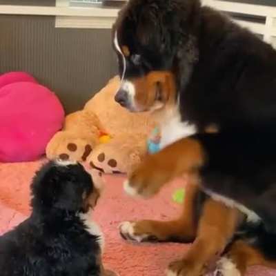 Hey little one from nellyvill on instagram