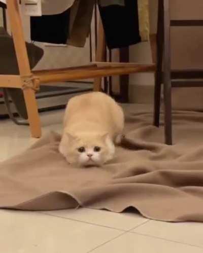 Launch sequence initiated.