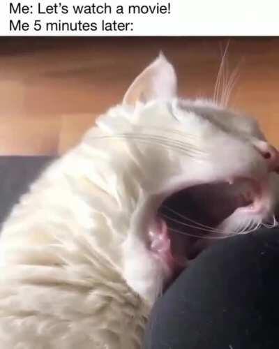 И так всякий раз