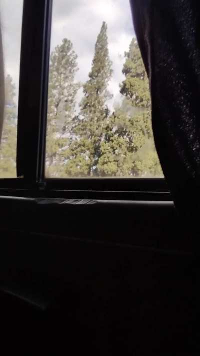 Would you put your tongue in my delicious pussy