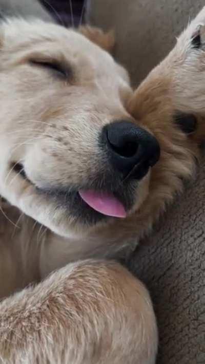 Is this normal? It’s cute but is she biting her tongue? 🤣