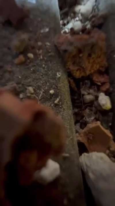  Militant killed by falling rock debri from an SAA strike