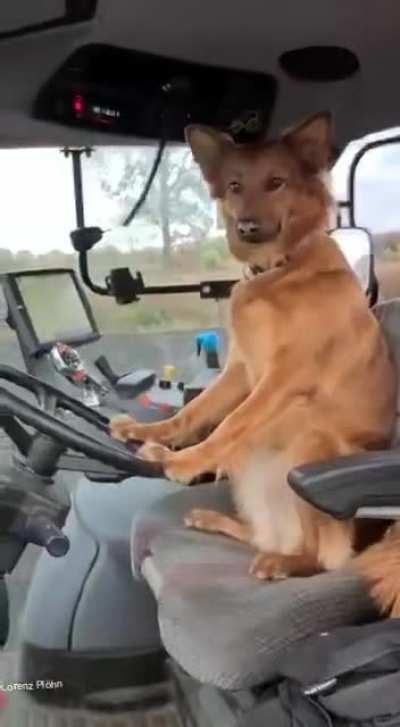 This might explain why the workers do what they do