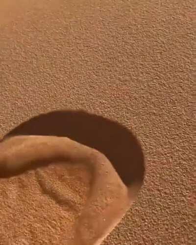 🔥 The way the sand falls on this sand dune in the Sahara