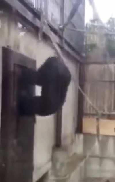 Cartis bois tryna get into the studio so they can leak his shit