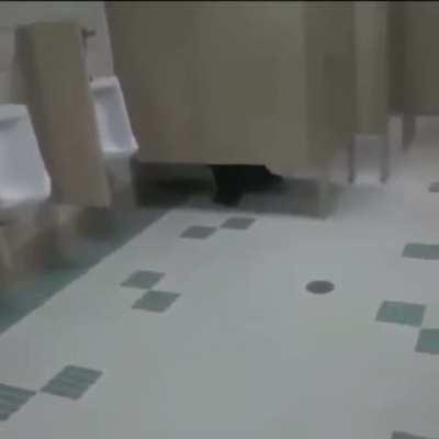 BBG food combination mfs when they gotta use the bathroom