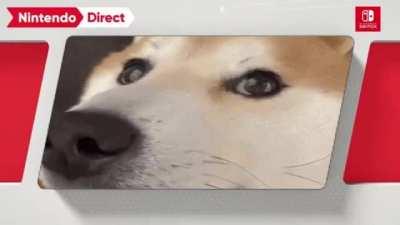 Nintendo direct