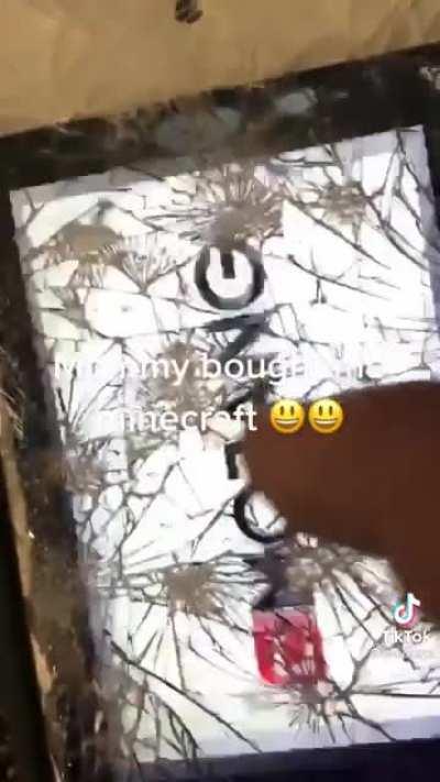 Mommy bought me Minecraft