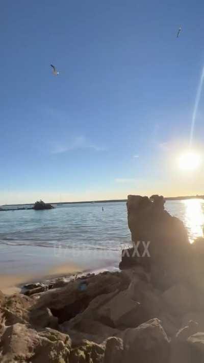 I Got caught Deep throating @ the beach but that didn’t stop the show