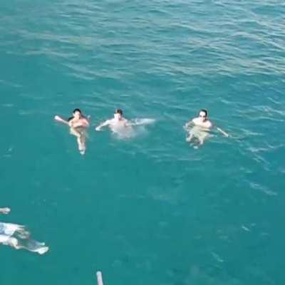 full video 2:35 mins