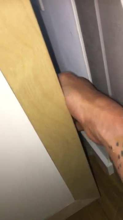 Our cat is very friendly