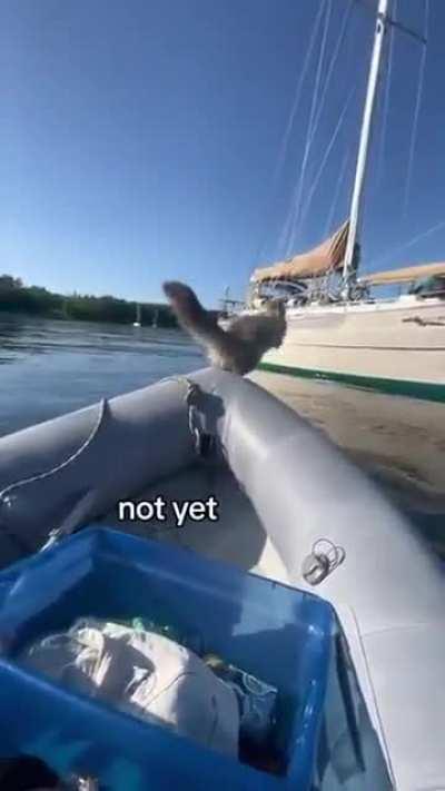 Â¡Â¡Â¡Ya no te aguanto!!!