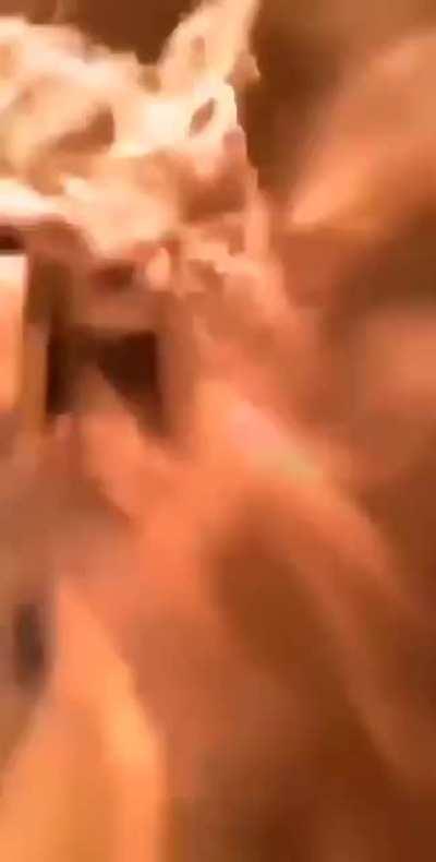 Super Powers, Bitch!