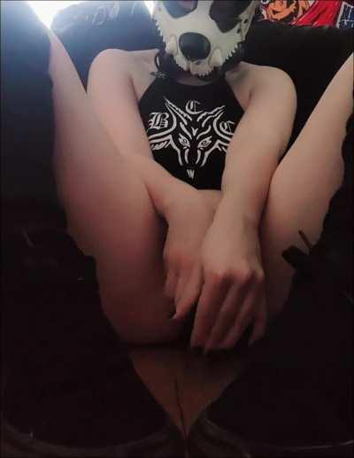 good dogs get rewards! 🐶 (s/m rex, f)