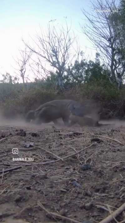 Wouldn't wanna run into this jolly fella.