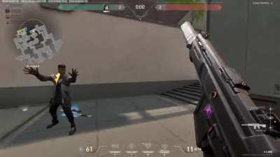 Won the round and our Phoenix was waiting to congratulate me with a big hug (Seriously, I was scared shitless)