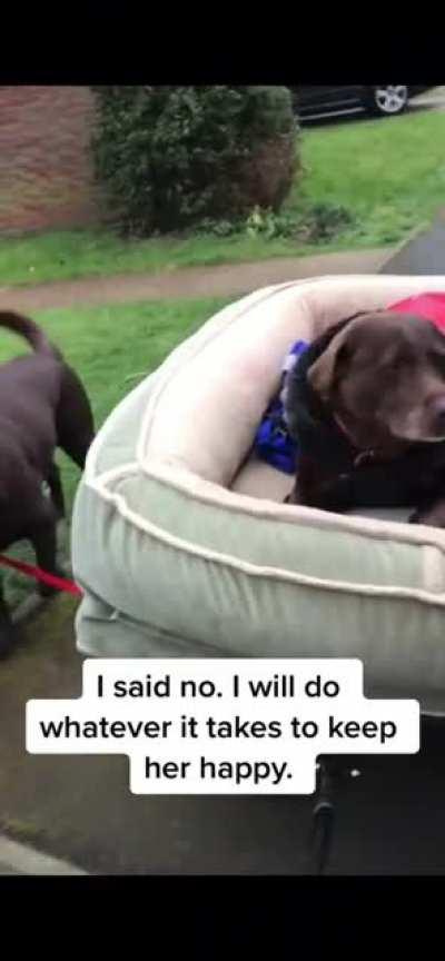 Treat them with love till the end. They would do the same for you.