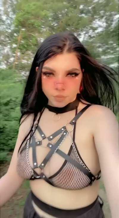 I dominate my entire neighborhood and everyone knows it