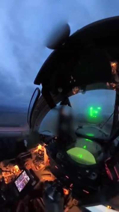 Ukrainian Air Force MiG-29 