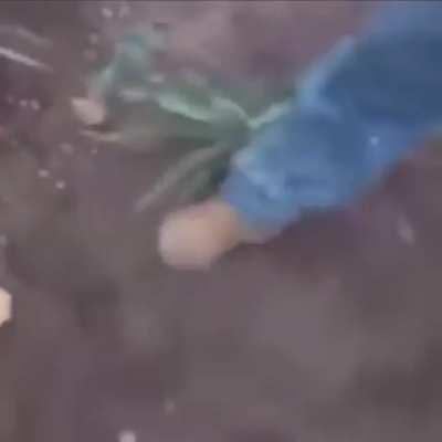 Pinche serpiente, yo también ando buscando a quién inyectarle la ponzoña