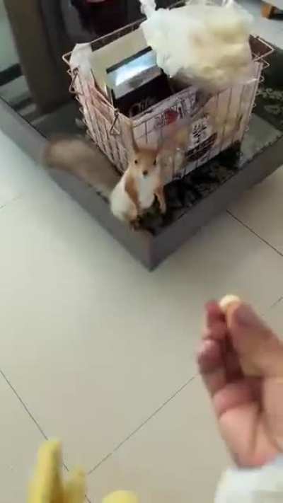 Feeding time for the whole crew.