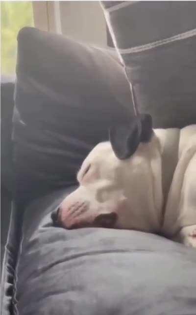 me describing the noise my motor car makes to the mechanic