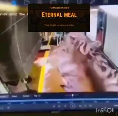 Eternal meal lore