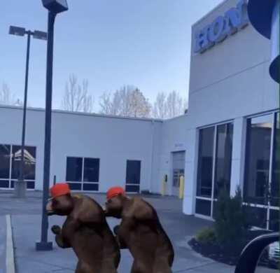 Hugh White Honda Athens