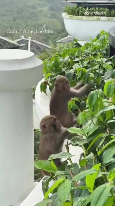 Caught slacking at work