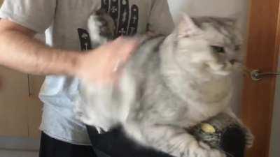 Vladimir loves his daily back rubs