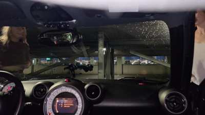 Expected 2 sluts on your windscreen?