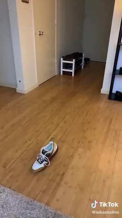 Laika studios animators being awesome during quarantine