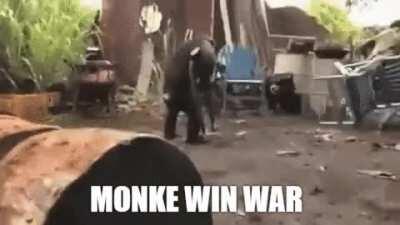 MONKE WIN WAR