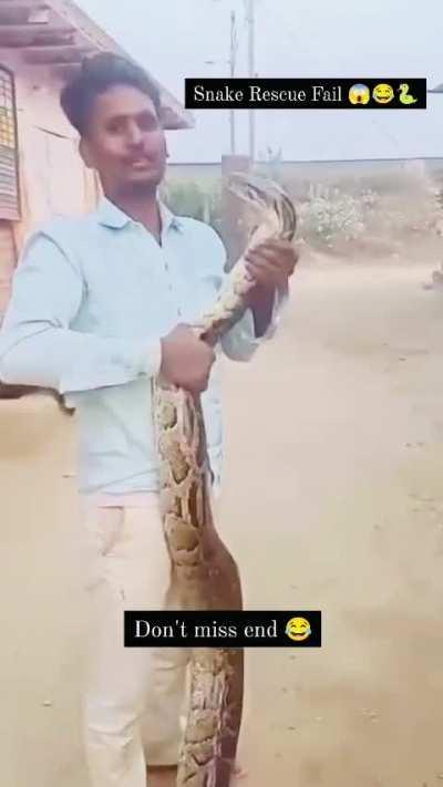 Snake affection 🐍 alert 🚨