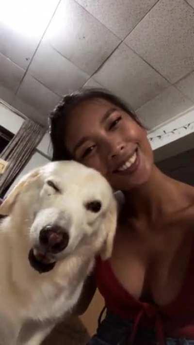 Say hi to my forever puppy