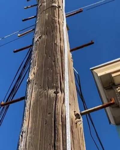 Free wifi for neighbours